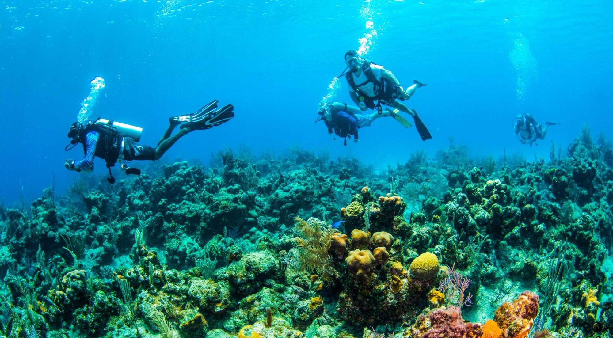 Blue Roatan Resort West Bay Exterior foto
